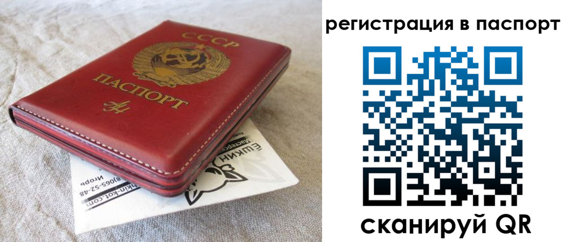 где прописаться в Владимирской области